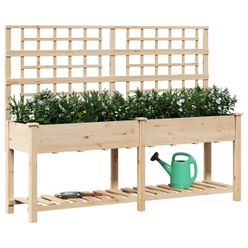 Gradină Jardiniere cu Trellis și Raft 203x53x152 cm Lemn Masiv de Brad - Img 3
