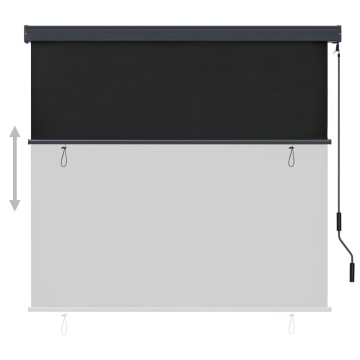 Jaluzea tip rulou de exterior, antracit, 170 x 250 cm - Img 3