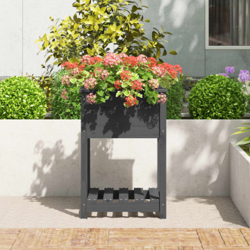 Jardinieră cu raft, gri, 54x54x81 cm, lemn masiv de pin - Img 3