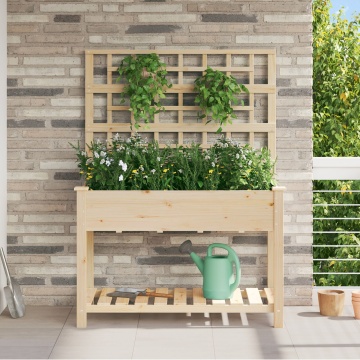 Jardiniere cu trellis și raft 115x59x152 cm Lemn solid de brad - Img 1