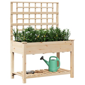 Jardiniere cu trellis și raft 115x59x152 cm Lemn solid de brad - Img 3