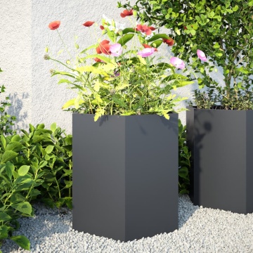 Jardiniere grădină, 2 buc. antracit 46x40x45 cm oțel hexagonală - Img 1