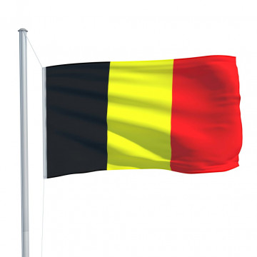 Steag Belgia, 90 x 150 cm - Img 4