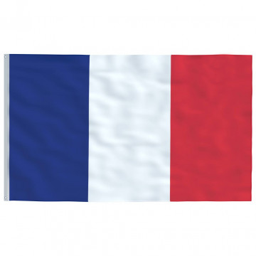 Steag Franța și stâlp din aluminiu, 6,23 m - Img 4