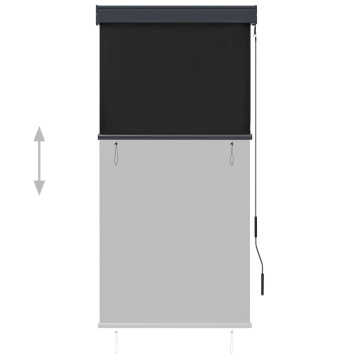 Jaluzea tip rulou de exterior, antracit, 80 x 250 cm - Img 3