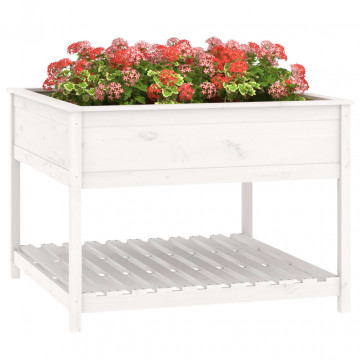 Jardinieră cu raft, alb, 111,5x111,5x81 cm, lemn masiv de pin - Img 4