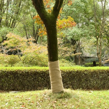 Rulou de iută, 1x5 m, iută 100%, 200 g/m² - Img 1