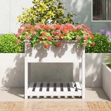 Jardinieră cu raft, alb, 82,5x82,5x81 cm, lemn masiv de pin - Img 3