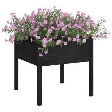 Jardiniere grădină, 2 buc., negru, 70x70x70 cm, lemn masiv pin - Img 3