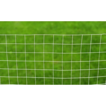 Plasă de sârmă pentru găini, argintiu, 25 x1 m, oțel galvanizat - Img 3