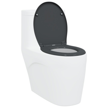 Scaun de toaletă cu eliberare rapidă cu închidere lentă Duroplast Antracit - Img 3
