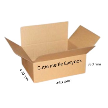 Cutii de carton pentru easybox