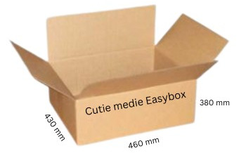 Cutii de carton pentru easybox