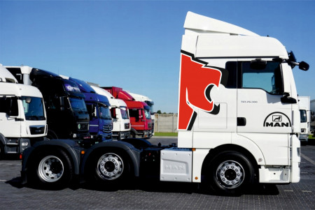 Set Stickere Camion Man Red Lion Edition