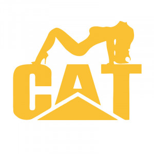 Sticker Autocolant Cat fata
