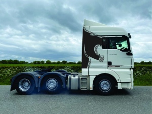 Set stickere MAN TGX TGA Lion's Edition