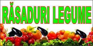 Banner Rasaduri Legume