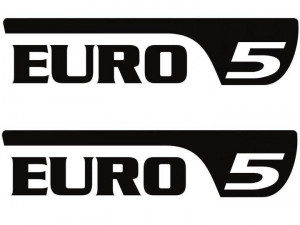 Set 2 buc Stickere Autocolante Euro 5 30 cm pentru Orice Marca
