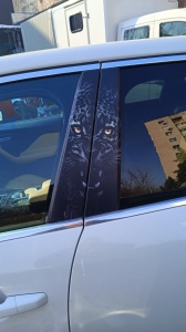 Set Stickere Stalpi Usi Jaguar