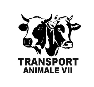 Sticker Auto Transport Animale