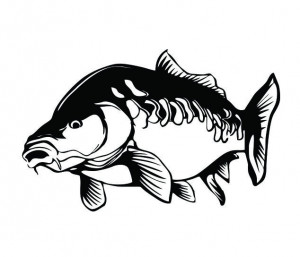 Sticker Autocolant Pescuit Crap M3