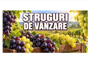 Banner Publicitar Struguri de Vanzare