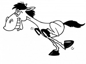 Sticker Auto Funny Donkey