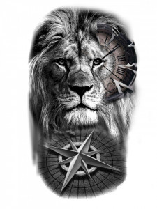 Sticker Auto Tattoo Edition Time Lion
