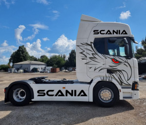 Set complet Stickere Cabina Scania