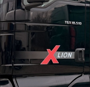 Set Stickere Cabina Dungi MAN X Lion