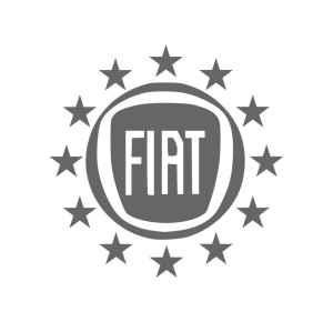 Sticker Auto Autocolant Sigla Fiat Stelute