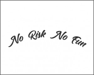 Sticker Auto No Risk No Fun