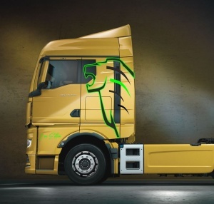 Set stickere camion MAN TGX TGA Lion's Edition