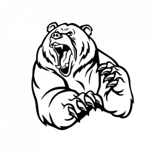 Sticker Auto Urs Grizzly