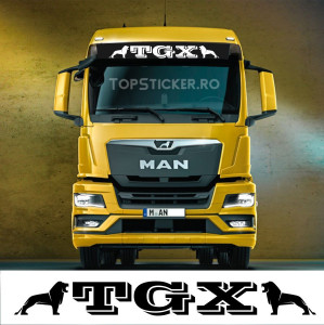 Sticker Frontal Man TGX M2