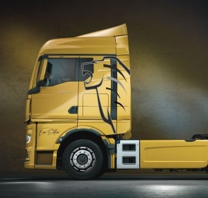 Set stickere camion MAN New Lion's Edition