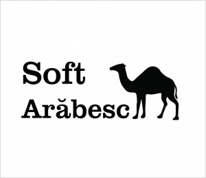 Sticker Auto Soft Arabesc