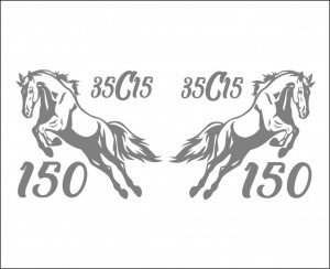 Set Stickere Auto Cai Iveco Daily 35C15