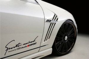 Set Stickere Portiere Audi SportsMind 50cm