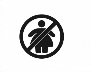 Sticker Auto No Fat Chicks