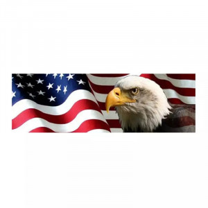 Folie One Way Vision Luneta American Flag - Img 2