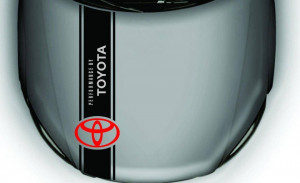 Dungi Capota Toyota Performance