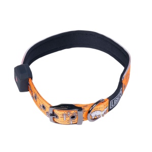 Collar Light5 Doggo Led Collar, Orange, S
