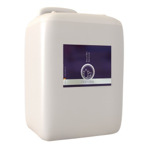 Cleaning agent NANOLEX Race Film Remover, 10,000 ml / canistră