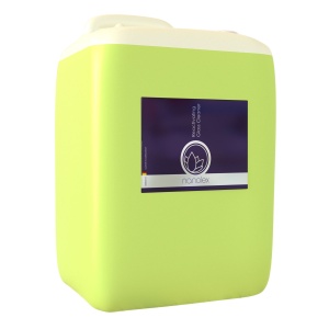 Soluție de curățare pentru geamuri NANOLEX Reactivating curățător geamuri, 10,000 ml / canistră