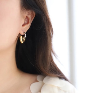 Sic Moda 6029 Bicolour stainless steel earrings - Img 2
