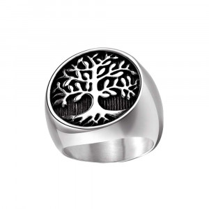Inel Bărbătesc din Inox chirurgical 316L — A rgintiu