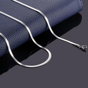Colier Bărbătesc din Inox chirurgical 316L — Argintiu - Img 3