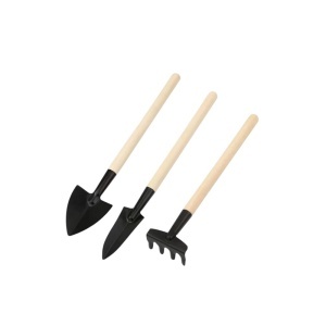 Unelte de grădinărit cu mâner din lemn 20 cm, set 3 piese - Img 2