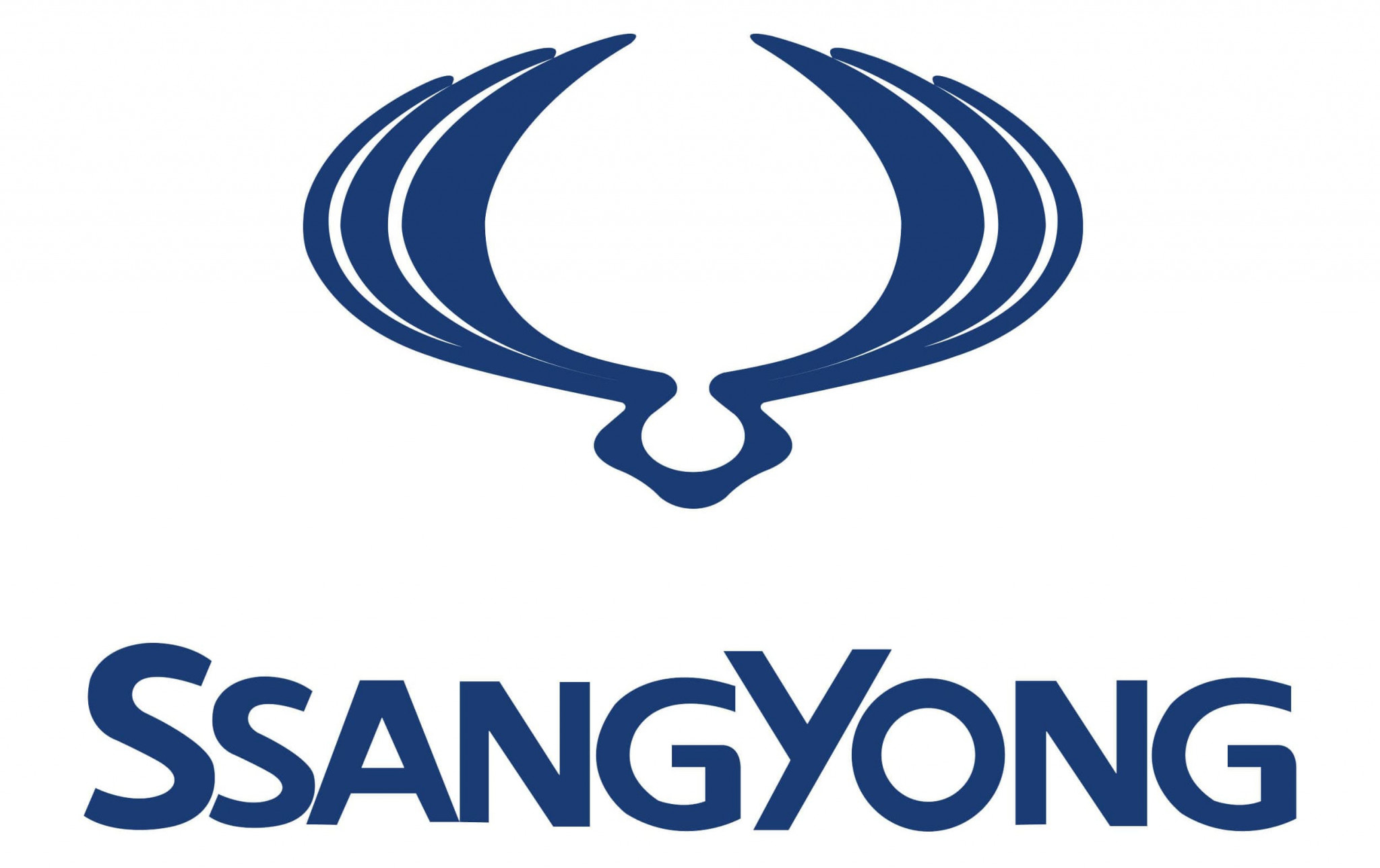 SISTEM RIDICARE PORTBAGAJ AUTOMAT DEDICAT SSANGYONG